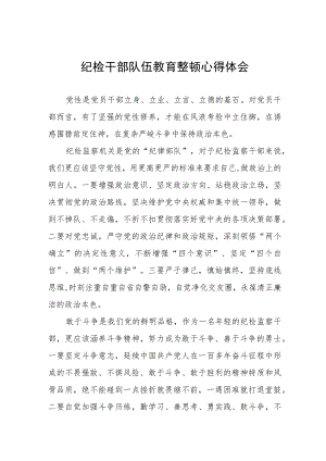 2023年纪检监察干部队伍教育整顿心得体会交流分享稿五篇.docx