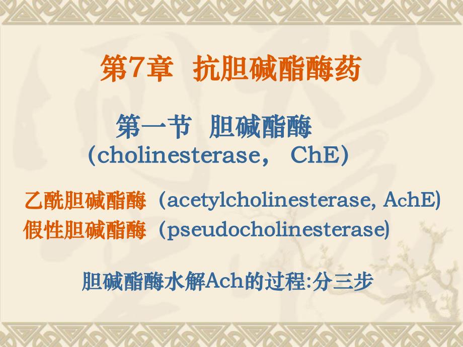 药理学第2版08抗胆碱酶药.ppt_第1页