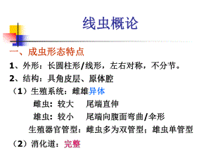 蛔虫中文.ppt