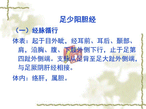 足少阳胆经介绍.ppt