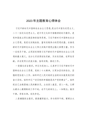 四篇2023年主题教育心得体会发言提纲.docx