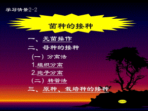 菌种生产2菌种的接种.ppt