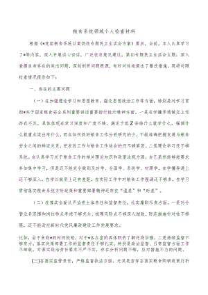 粮食系统领域个人检查材料.docx
