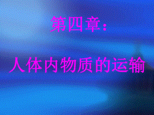 血液流通的管道.ppt