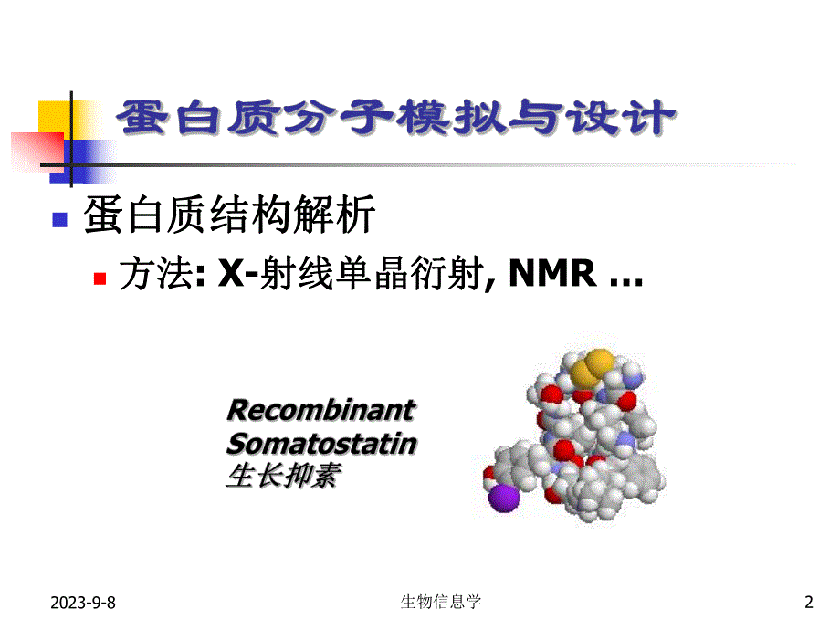 蛋白质模拟与药物设计.ppt_第2页