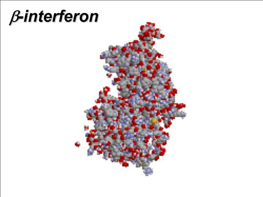 蛋白质模拟与药物设计.ppt_第3页