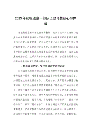 2023纪检监察干部队伍教育整顿心得体会(5篇).docx