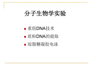 质粒提取实验11.ppt