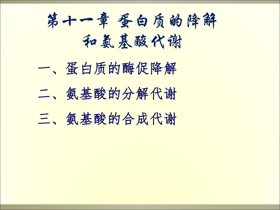 蛋白质代谢12.ppt_第1页