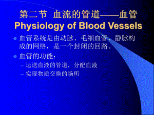 血流的管道血管2.ppt