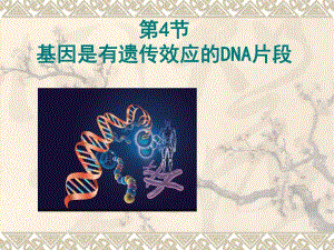课件34基因是有遗传效应的DNA片段.ppt