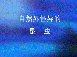 自然界怪异的昆虫.ppt