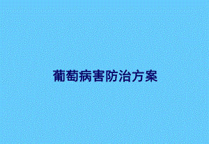 葡萄病虫害防治方案Optimized.ppt
