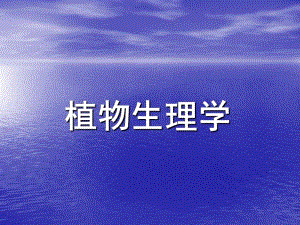 自作植物学课件.ppt
