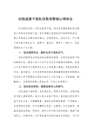 纪检监察干部队伍教育整顿心得体会发言提纲(八篇).docx