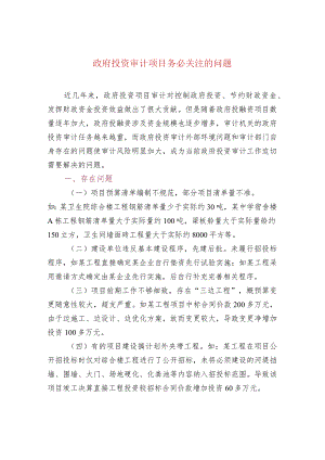 政府投资审计项目务必关注的问题.docx