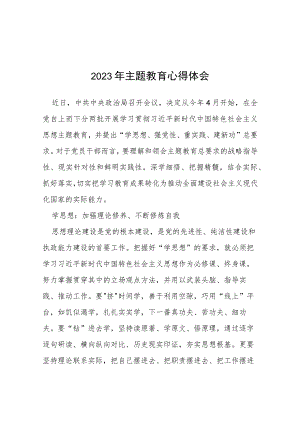 四篇2023年主题教育的心得体会.docx