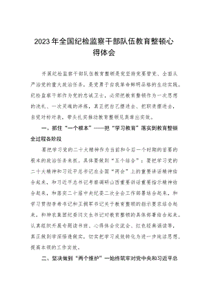 (五篇)纪检干部队伍教育整顿学习心得体会模板.docx