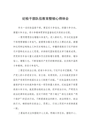 2023纪检监察干部队伍教育整顿心得体会发言5篇.docx