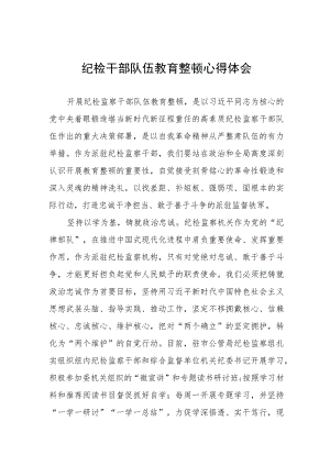 2023纪检干部队伍教育整顿心得体会交流发言提纲(8篇).docx