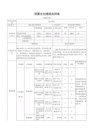 预算支出绩效自评表.docx