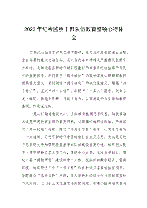 (五篇)2023纪检监察干部队伍教育整顿心得体会发言稿.docx
