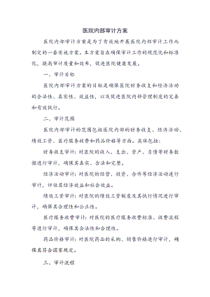 医院内部审计方案.docx