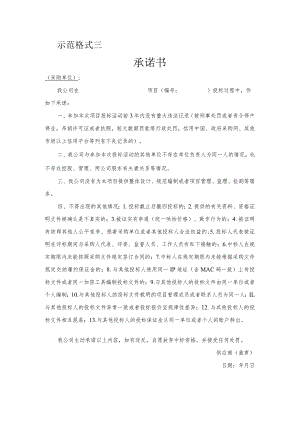 示范格式三承诺书.docx