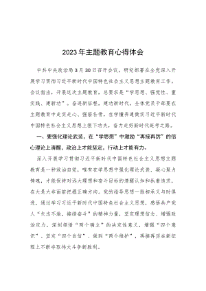 2023年主题教育心得体会范文五篇.docx