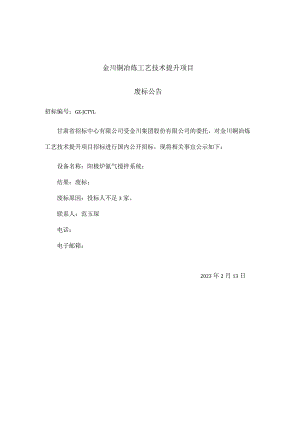 金川铜冶炼工艺技术提升项目.docx