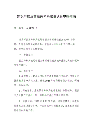 知识产权运营服务体系建设项目申报指南.docx