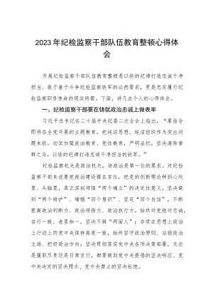 2023年纪检监察干部队伍教育整顿心得体会最新(10篇).docx