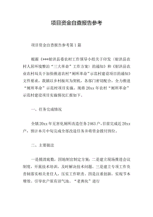 项目资金自查报告参考.docx