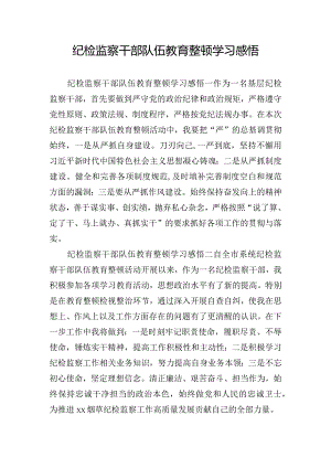 纪检监察干部队伍教育整顿学习感悟.docx