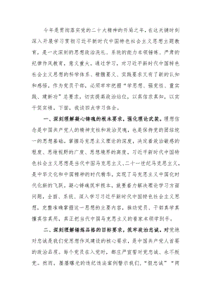 第二批教育研讨交流：凝心铸魂 实干担当范文两篇.docx