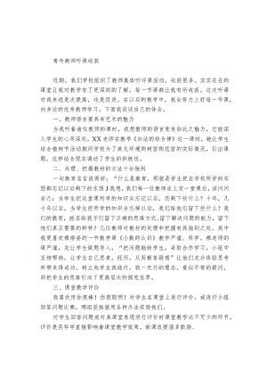 青年教师听课收获.docx