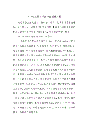 集中警示教育对照检视剖析材料 (6).docx