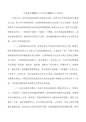 纪委监委2023年工作总结2024年工作谋划.docx