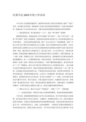 纪委书记2023年度工作总结.docx