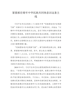 紧紧抓住铸牢中华民族共同体意识这条主线.docx