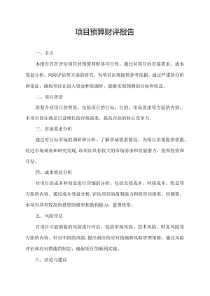 项目预算财评报告.docx