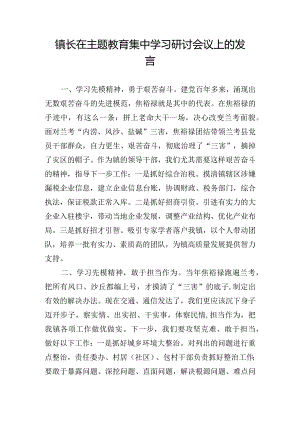 镇长在主题教育集中学习研讨会议上的发言.docx