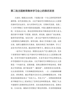 第二批主题教育集体学习会上的表态发言.docx