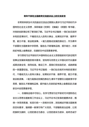青年干部在主题教育交流座谈会上的交流发言.docx