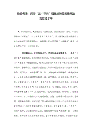 经验做法：抓好“三个导向” 强化巡防要素 提升治安管控水平.docx