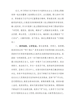 第二批主题教育研讨发言材料范文两篇.docx