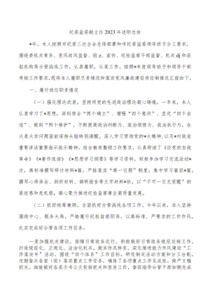 纪委监委副主任2023年述职总结.docx