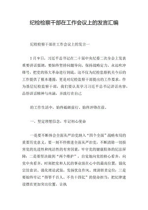 纪检检察干部在工作会议上的发言汇编.docx