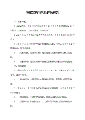 股权架构与风险评估报告.docx