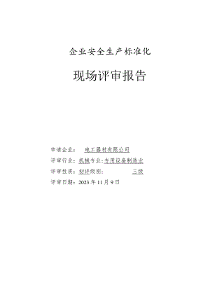 企业安全生产标准化现场评审报告.docx